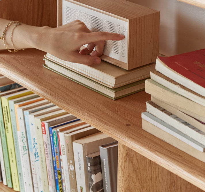 Prague Bookshelf