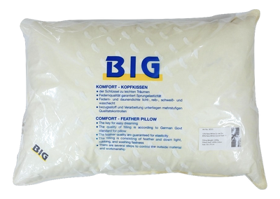 BIG White Goose Down Pillow