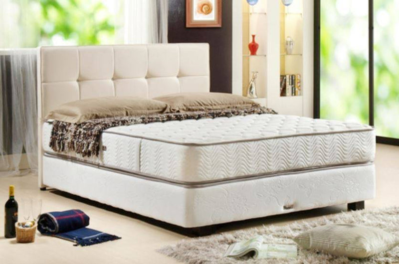 VONO Mattress- ErgoBed 800 Plus