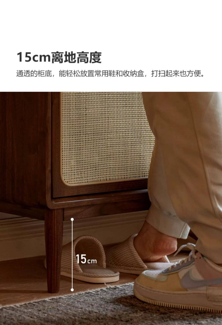 Wally rattan shoe cabinet