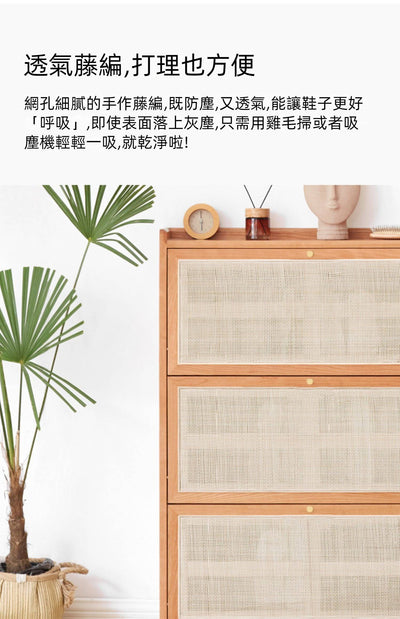 Rattan Thin Shoe Cabinet