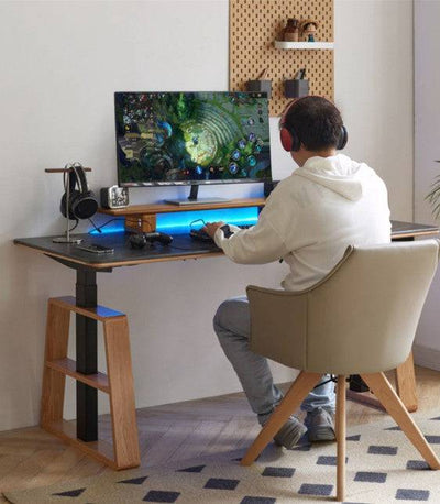 Rocky Adjustable Desk